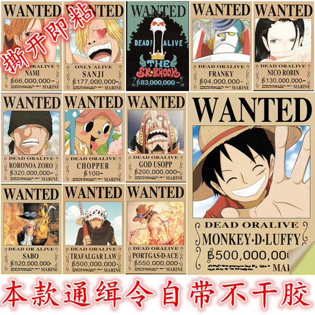 国有土地使用证真实样板